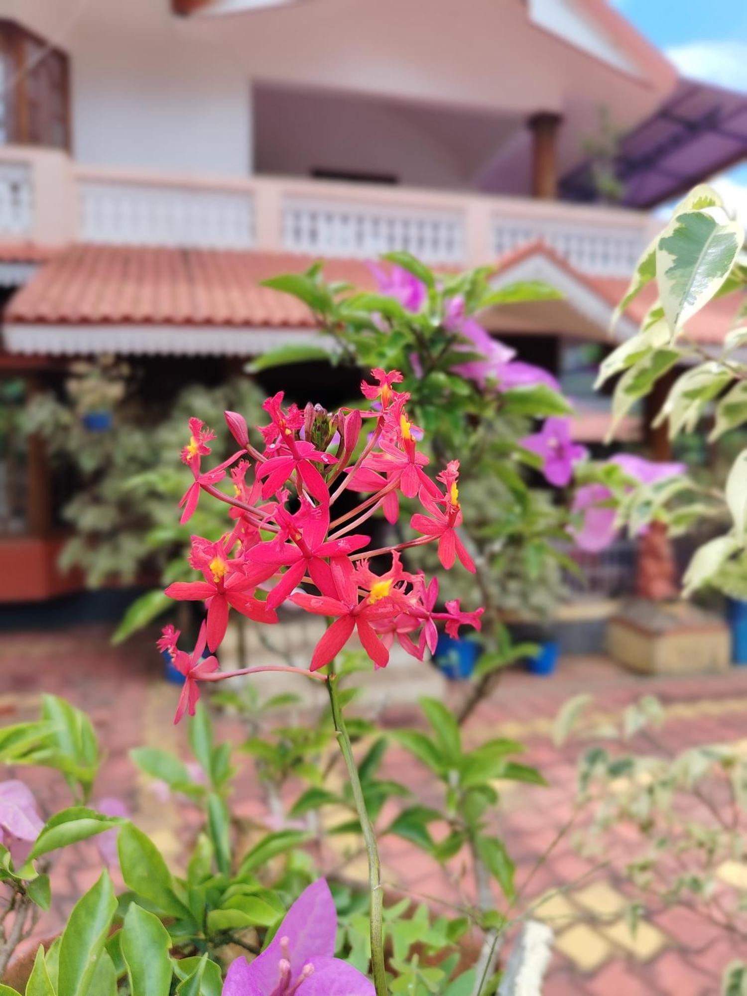 Shivalaya Homestay, Madikeri Siddāpur Exterior foto